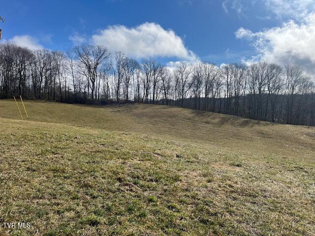 8491 Dr Ralph Stanley Highway, Coeburn, Virginia image 30
