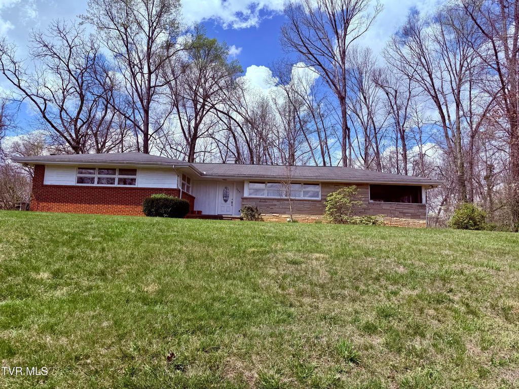 Photo of 408 Forest Hills Drive, Kingsport, TN 37663 (MLS # 9993296)