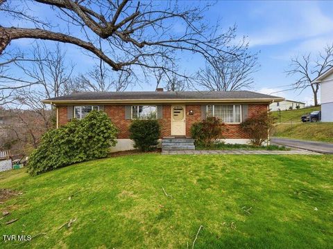 Homes For Sale - 313 Belmont Drive<br/> Bristol, TN 37620