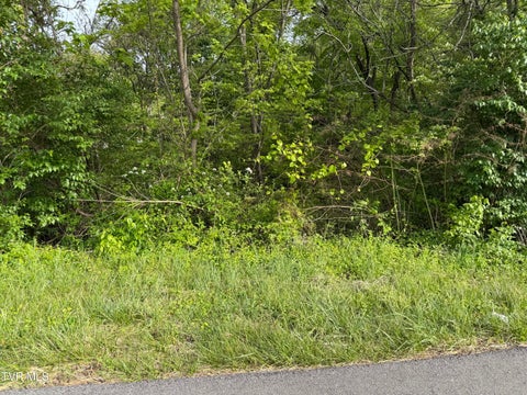 Vacant Land For Sale - 1725 Reedy Creek Road<br/> Kingsport, TN 37664