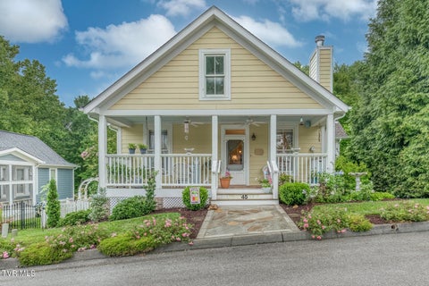 Photo of 45 Walton Street, Jonesborough, TN 37659 (MLS # 9998118)