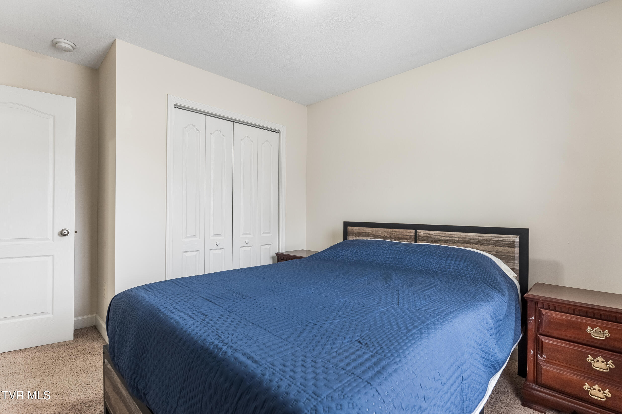 549 Painter Road, Fall Branch, Tennessee image 21
