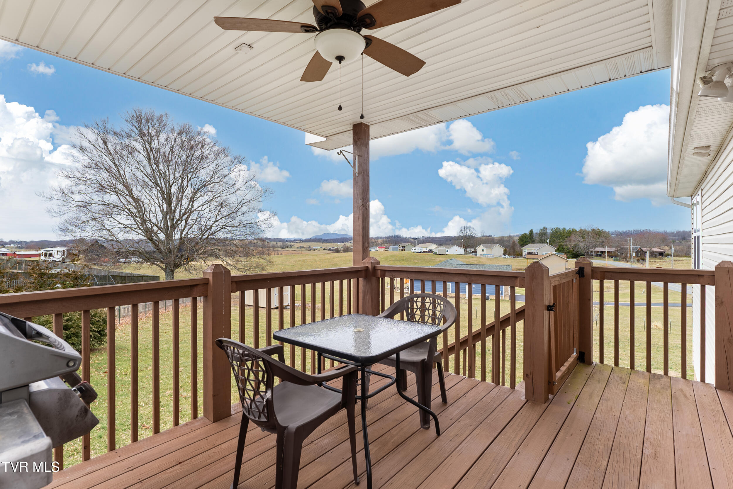 549 Painter Road, Fall Branch, Tennessee image 31