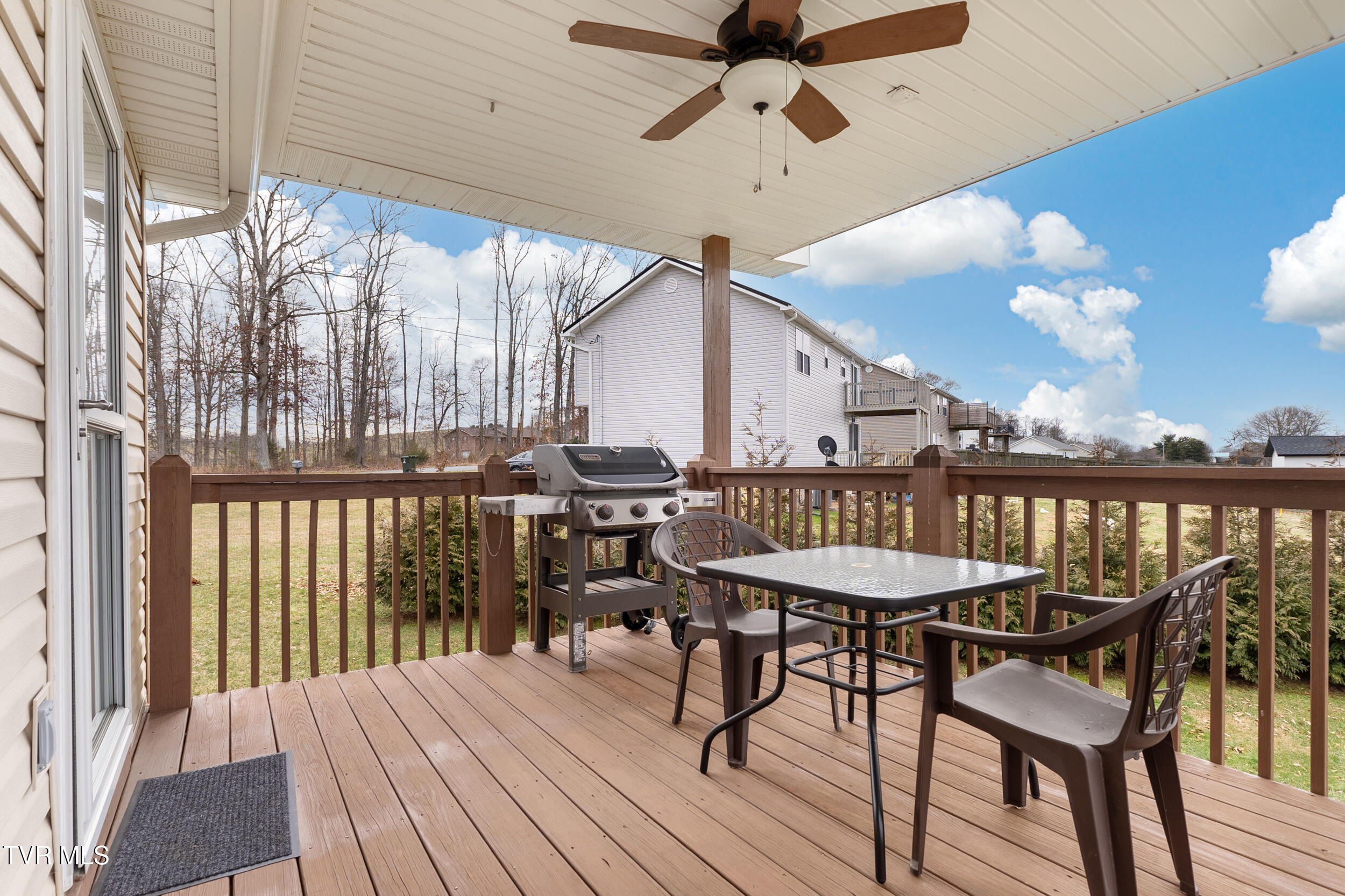 549 Painter Road, Fall Branch, Tennessee image 32