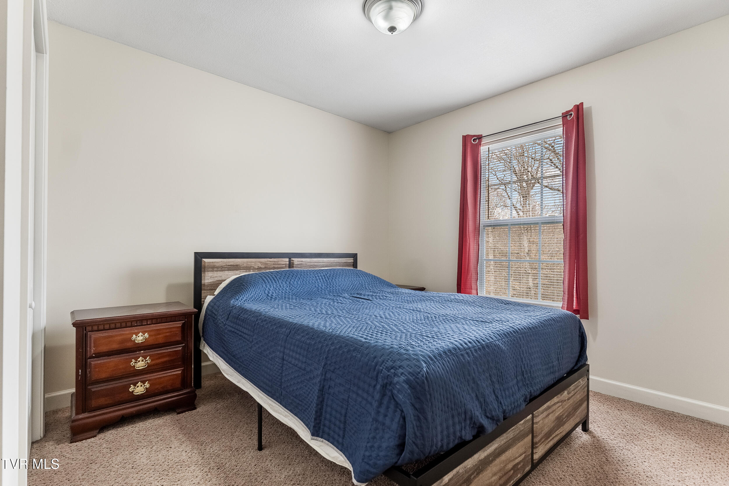 549 Painter Road, Fall Branch, Tennessee image 20