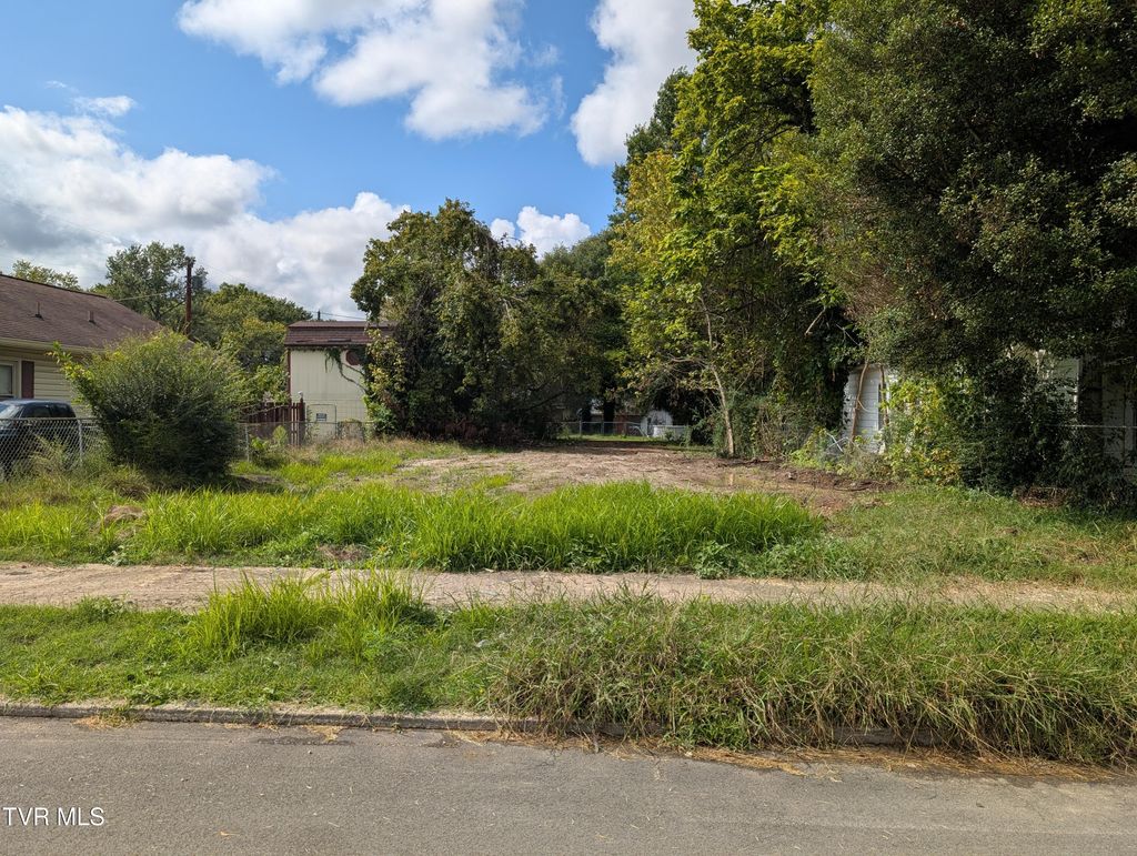 Photo of 1706 Highland Street, Kingsport, TN 37664 (MLS # 9985317)