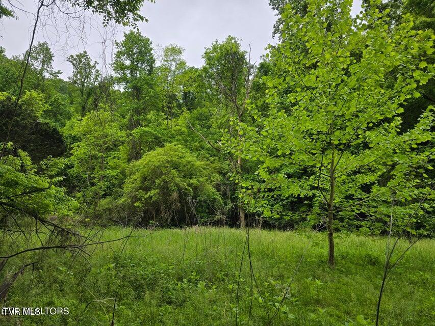Tbd Boatmans Mountain Lot 3 Road, Morristown, Tennessee image 24
