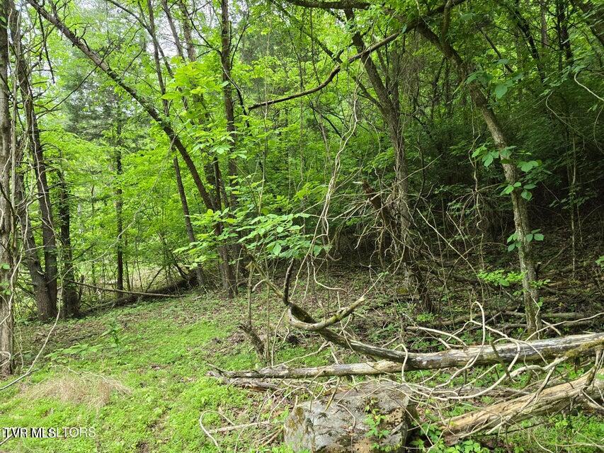 Tbd Boatmans Mountain Lot 3 Road, Morristown, Tennessee image 39