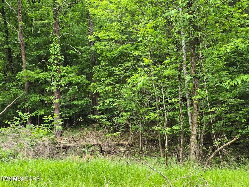 Tbd Boatmans Mountain Lot 3 Road, Morristown, Tennessee image 11