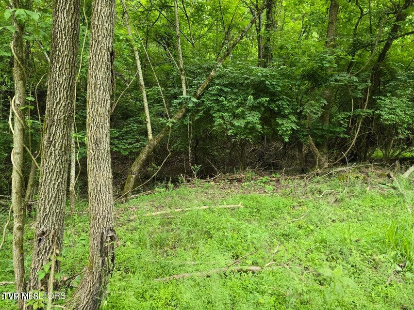 Tbd Boatmans Mountain Lot 3 Road, Morristown, Tennessee image 37