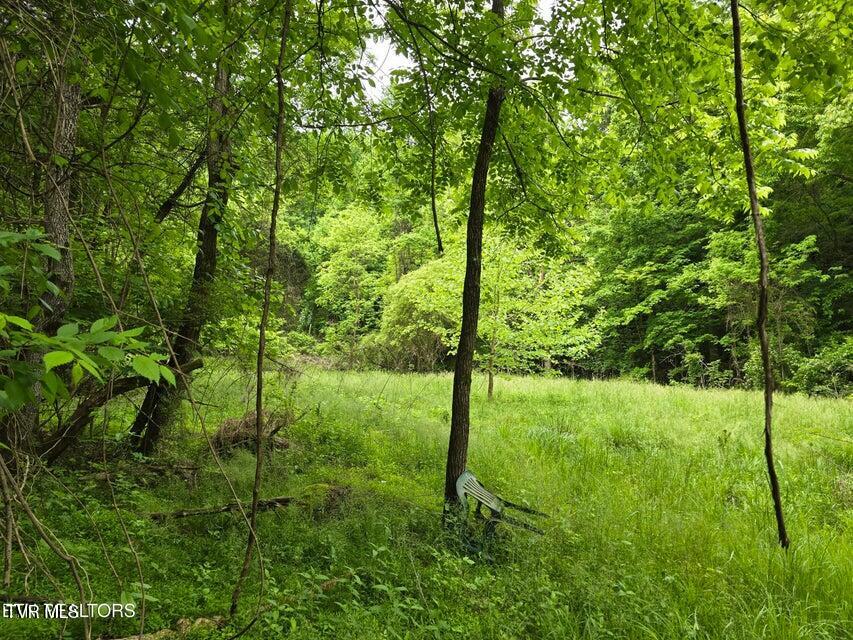 Tbd Boatmans Mountain Lot 3 Road, Morristown, Tennessee image 22