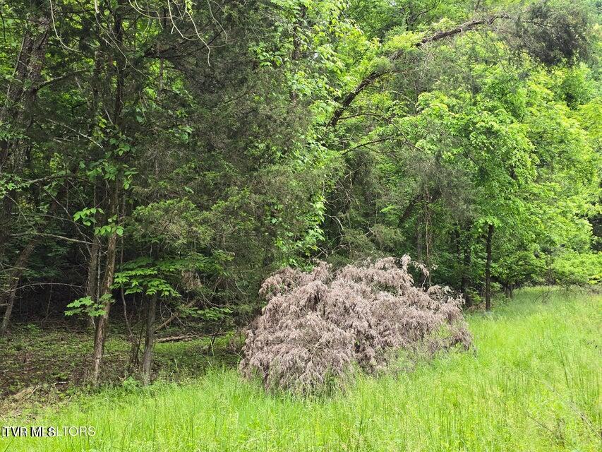 Tbd Boatmans Mountain Lot 3 Road, Morristown, Tennessee image 33