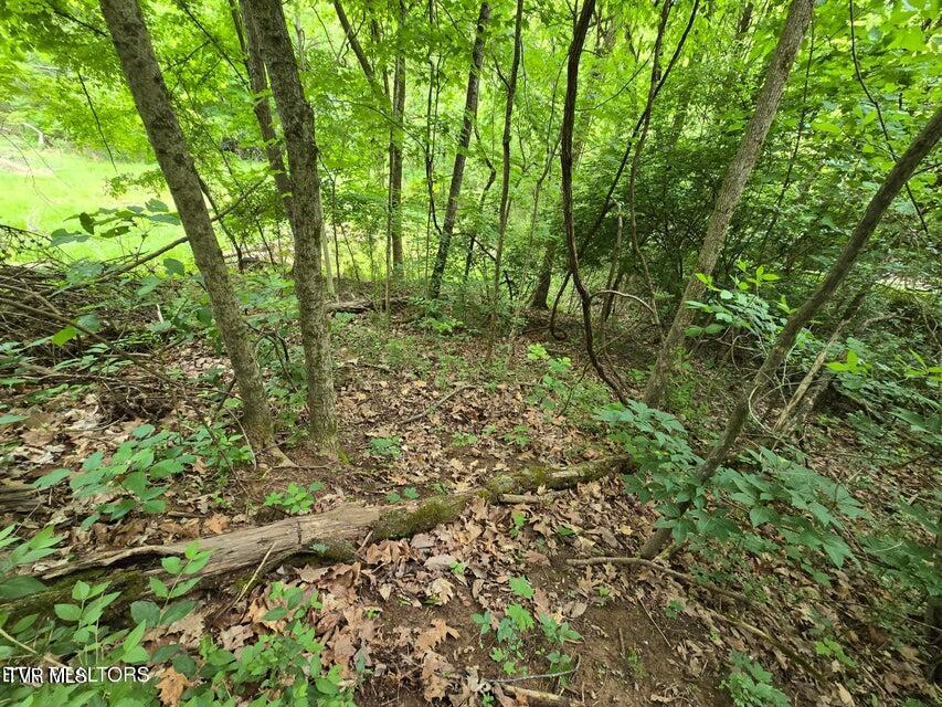 Tbd Boatmans Mountain Lot 3 Road, Morristown, Tennessee image 28