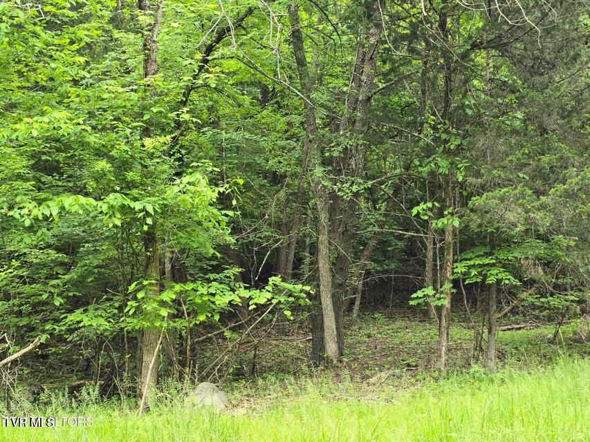 Tbd Boatmans Mountain Lot 3 Road, Morristown, Tennessee image 12