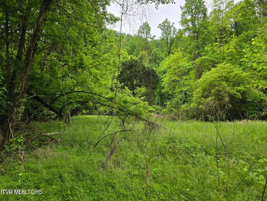 Tbd Boatmans Mountain Lot 3 Road, Morristown, Tennessee image 23