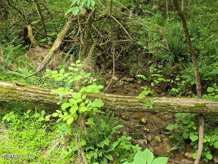 Tbd Boatmans Mountain Lot 3 Road, Morristown, Tennessee image 19