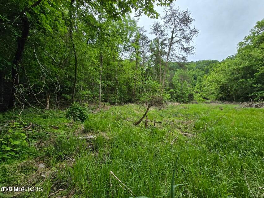 Tbd Boatmans Mountain Lot 3 Road, Morristown, Tennessee image 3