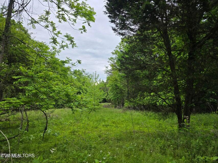 Tbd Boatmans Mountain Lot 3 Road, Morristown, Tennessee image 2