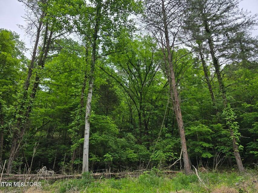 Tbd Boatmans Mountain Lot 3 Road, Morristown, Tennessee image 9
