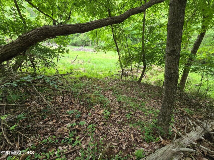 Tbd Boatmans Mountain Lot 3 Road, Morristown, Tennessee image 27