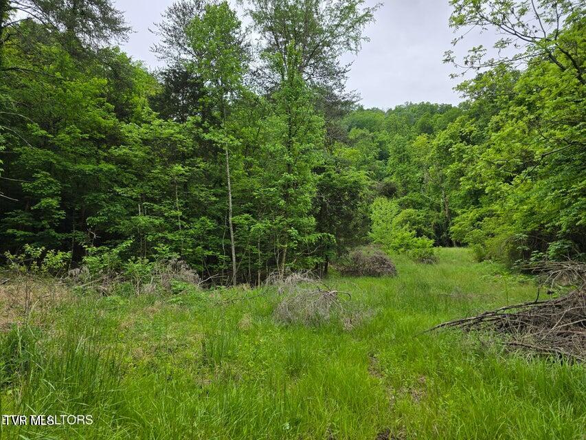 Tbd Boatmans Mountain Lot 3 Road, Morristown, Tennessee image 1