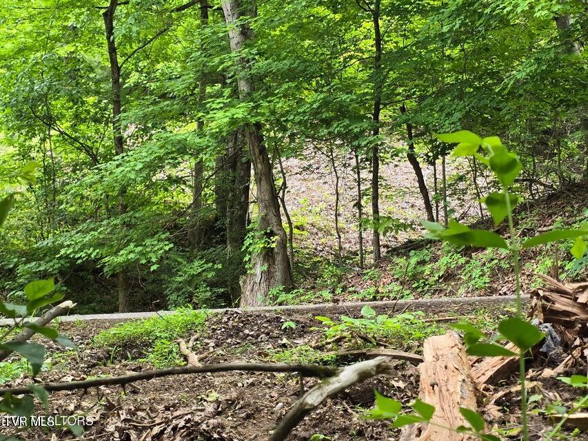 Tbd Boatmans Mountain Lot 3 Road, Morristown, Tennessee image 31