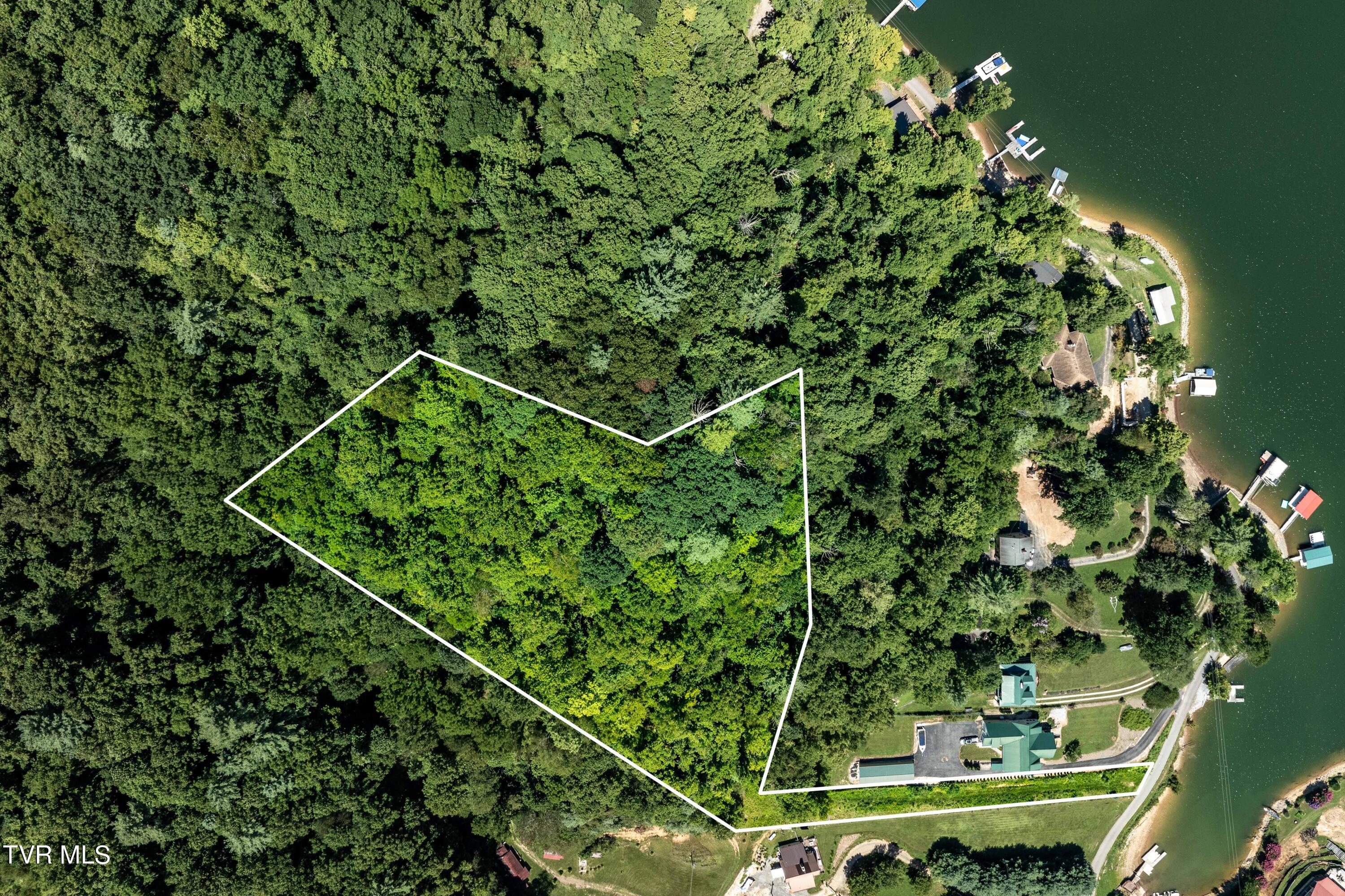 Lot 14c Cable Hollow Road, Butler, Tennessee image 2