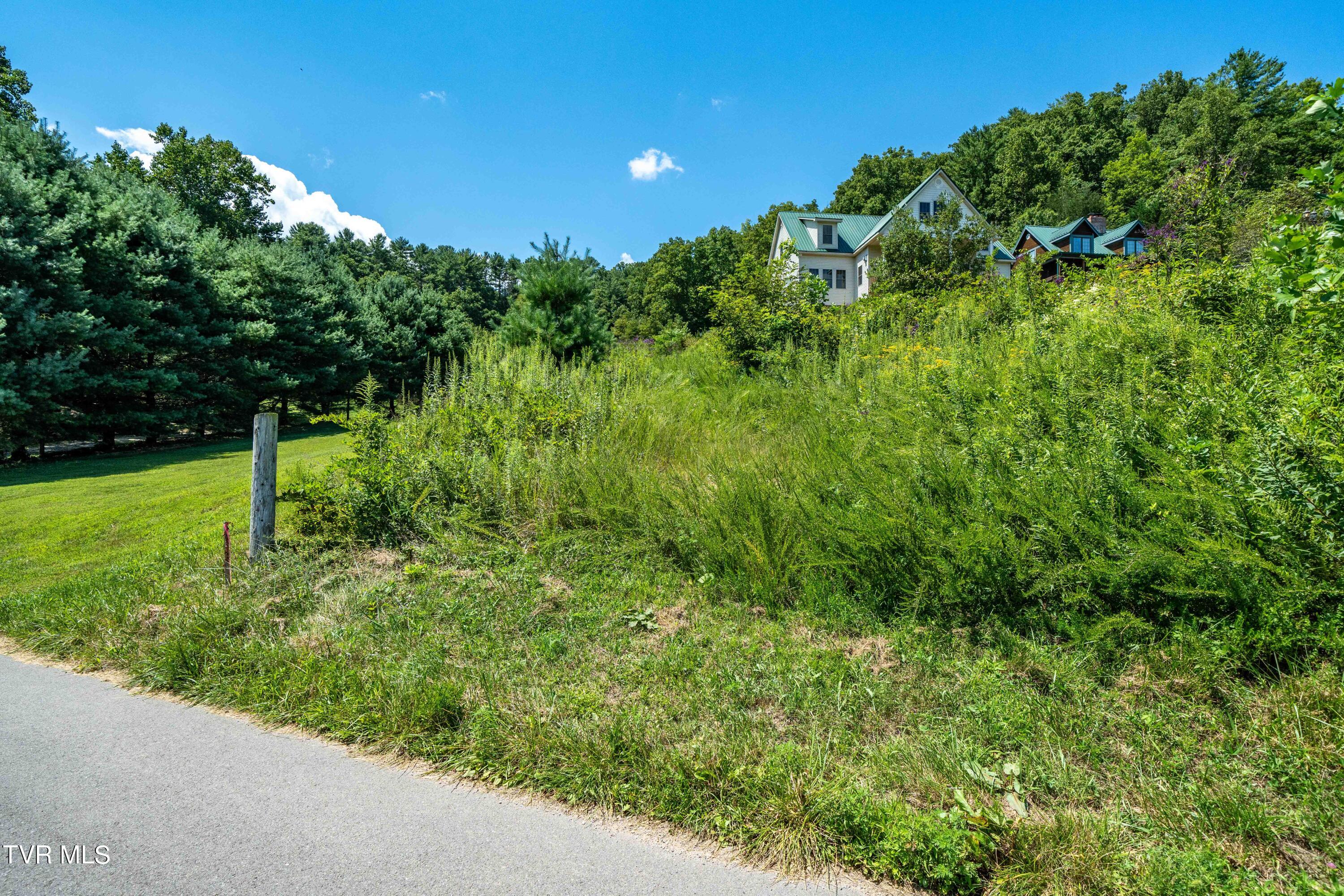 Lot 14c Cable Hollow Road, Butler, Tennessee image 23