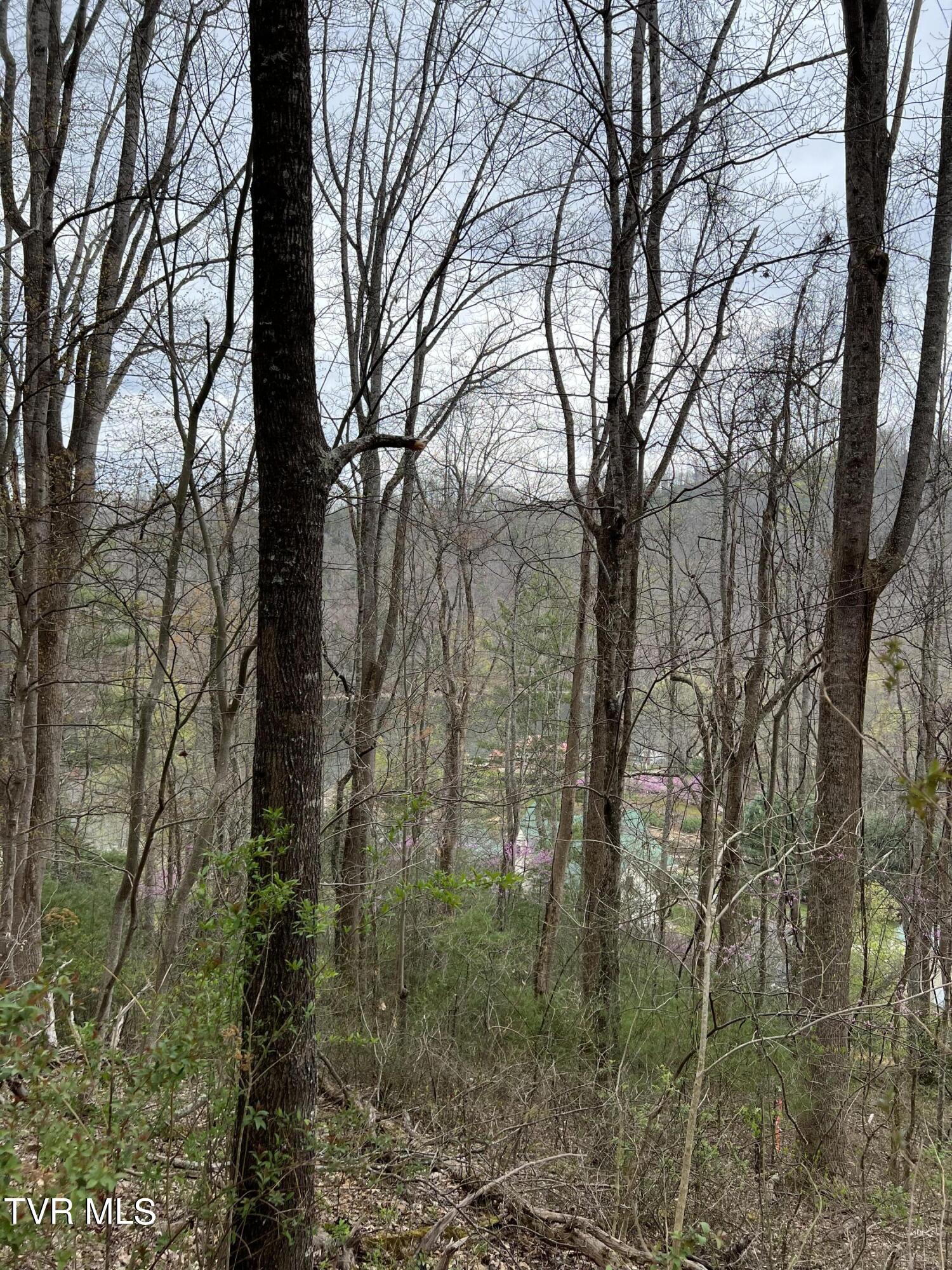 Lot 14c Cable Hollow Road, Butler, Tennessee image 28