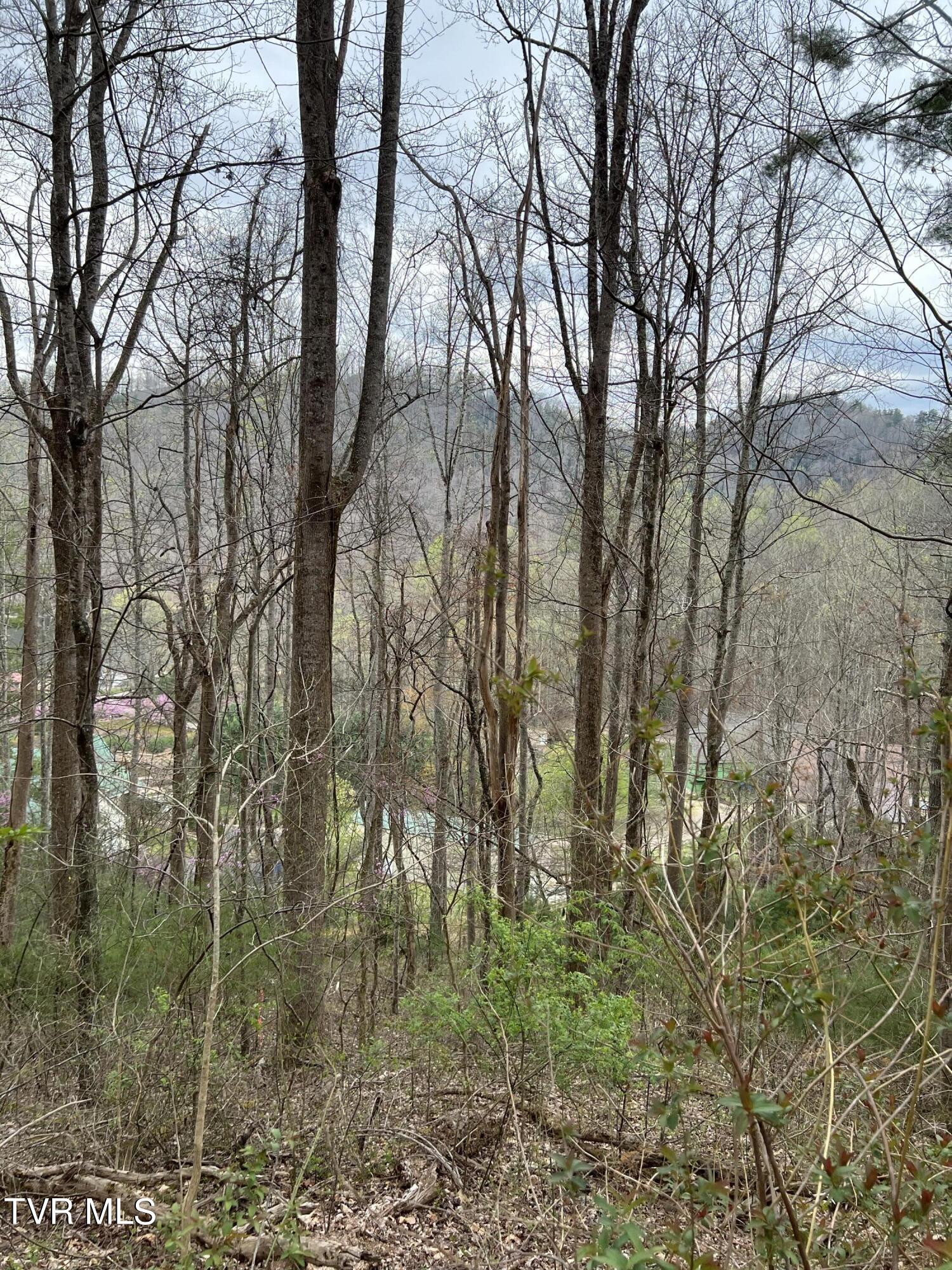 Lot 14c Cable Hollow Road, Butler, Tennessee image 29