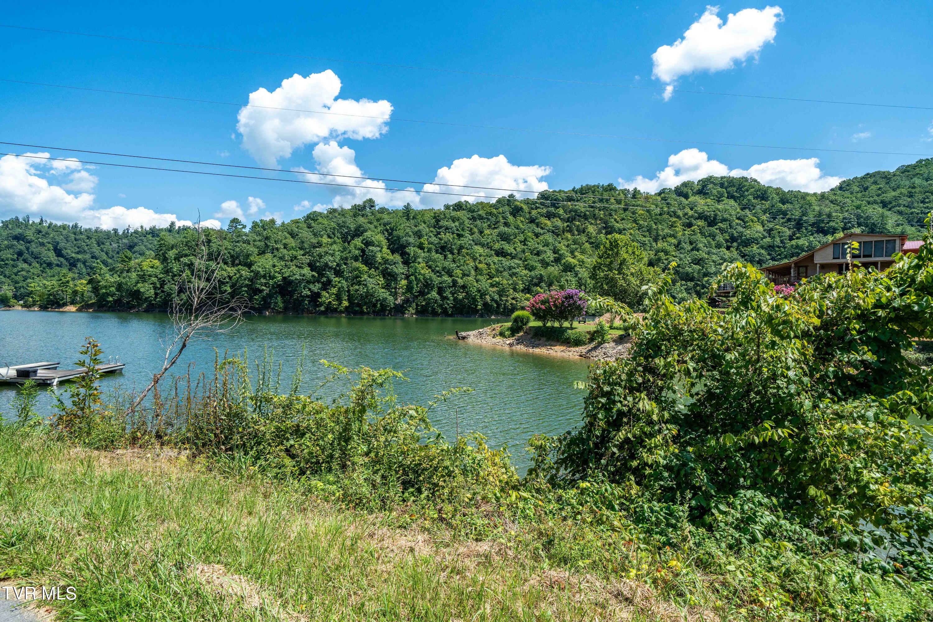 Lot 14c Cable Hollow Road, Butler, Tennessee image 3