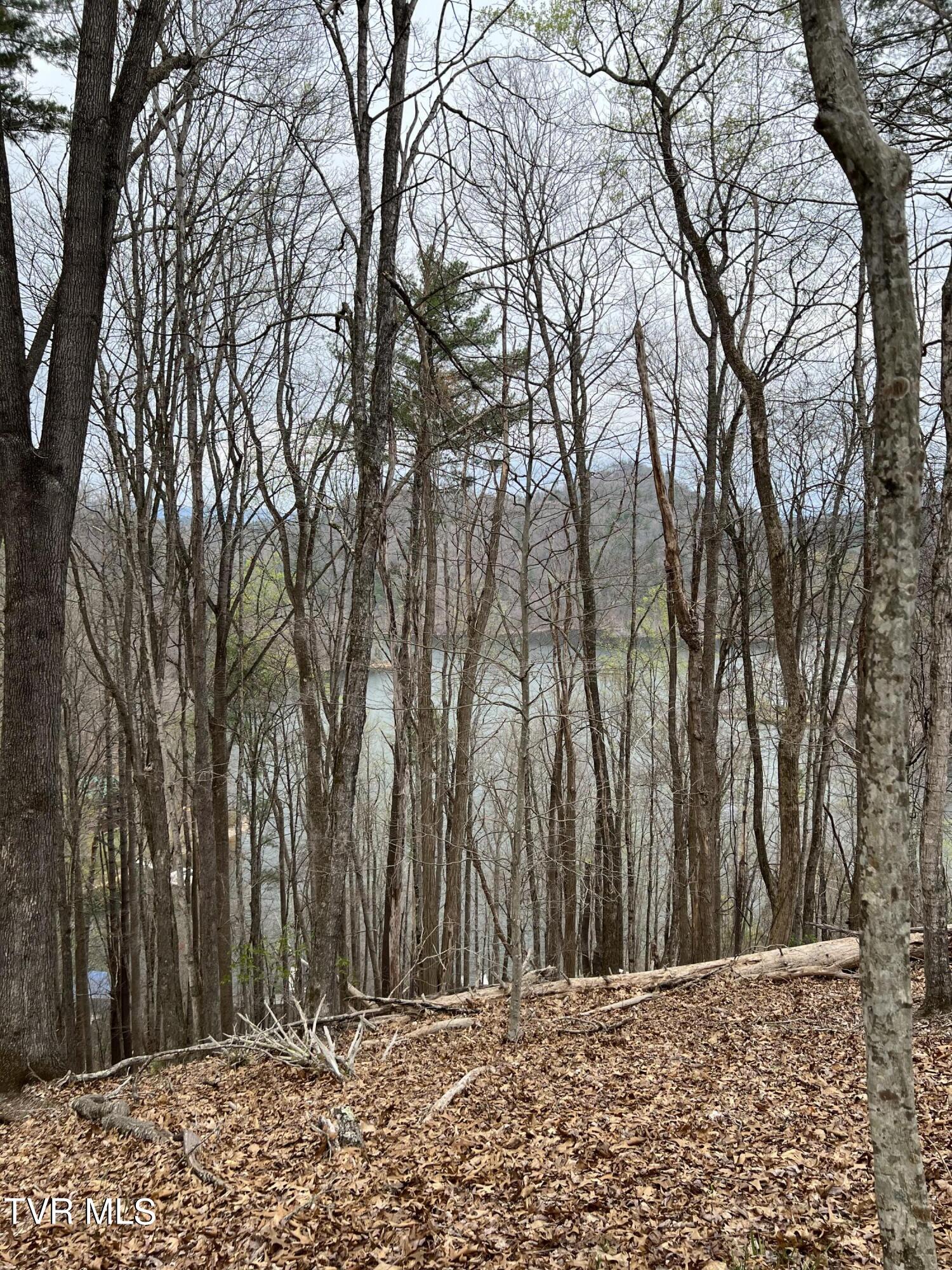 Lot 14c Cable Hollow Road, Butler, Tennessee image 32