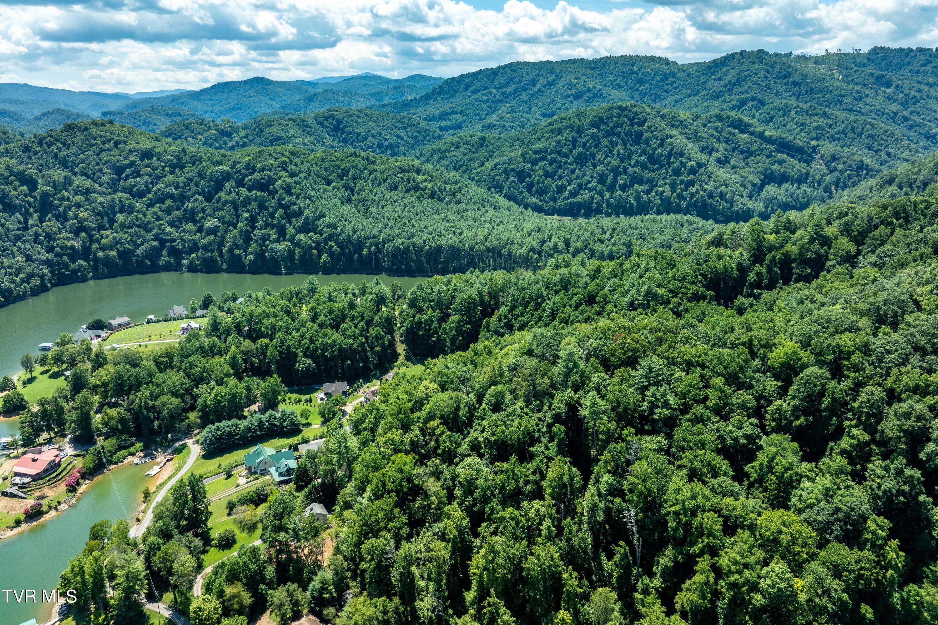Lot 14c Cable Hollow Road, Butler, Tennessee image 10