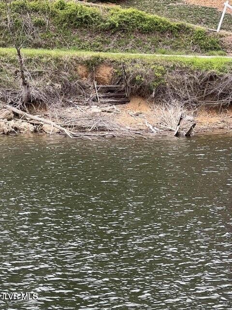 Lot 14c Cable Hollow Road, Butler, Tennessee image 4