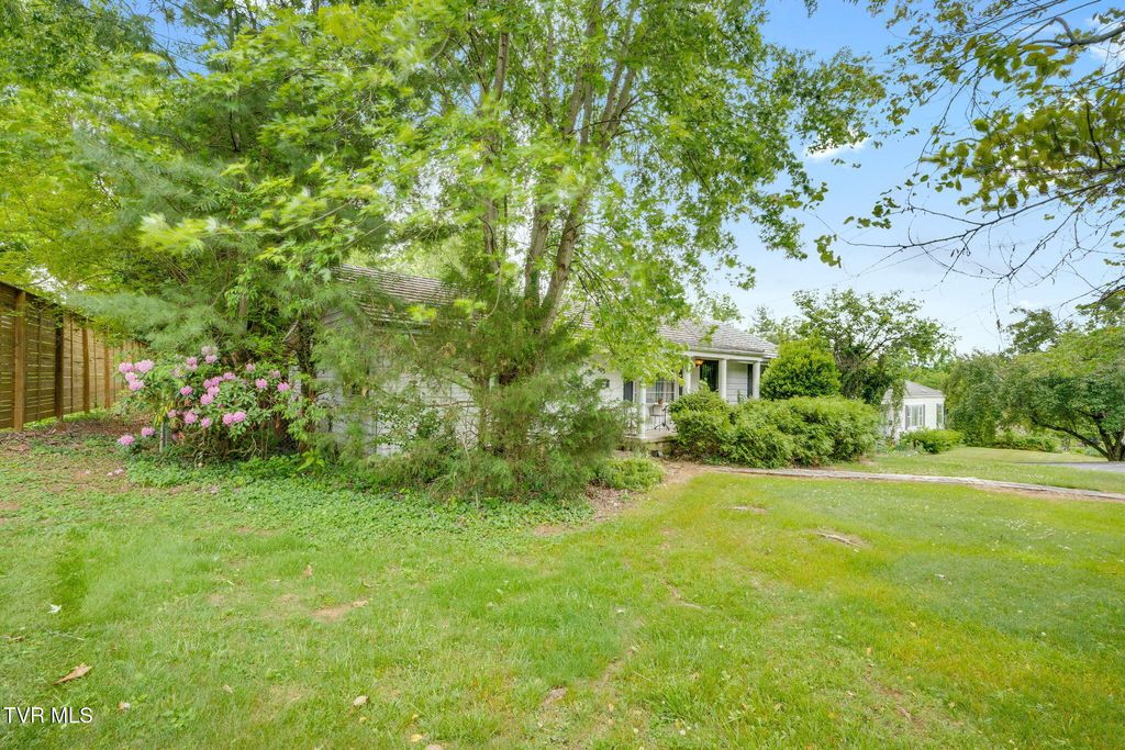 Photo of 503 Locust Street, Jonesborough, TN 37659 (MLS # 9995015)