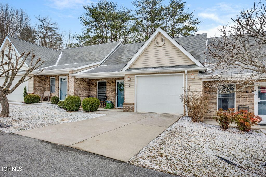 Photo of 527 Redstone Drive #Unit 3, Bristol, TN 37620 (MLS # 9991555)