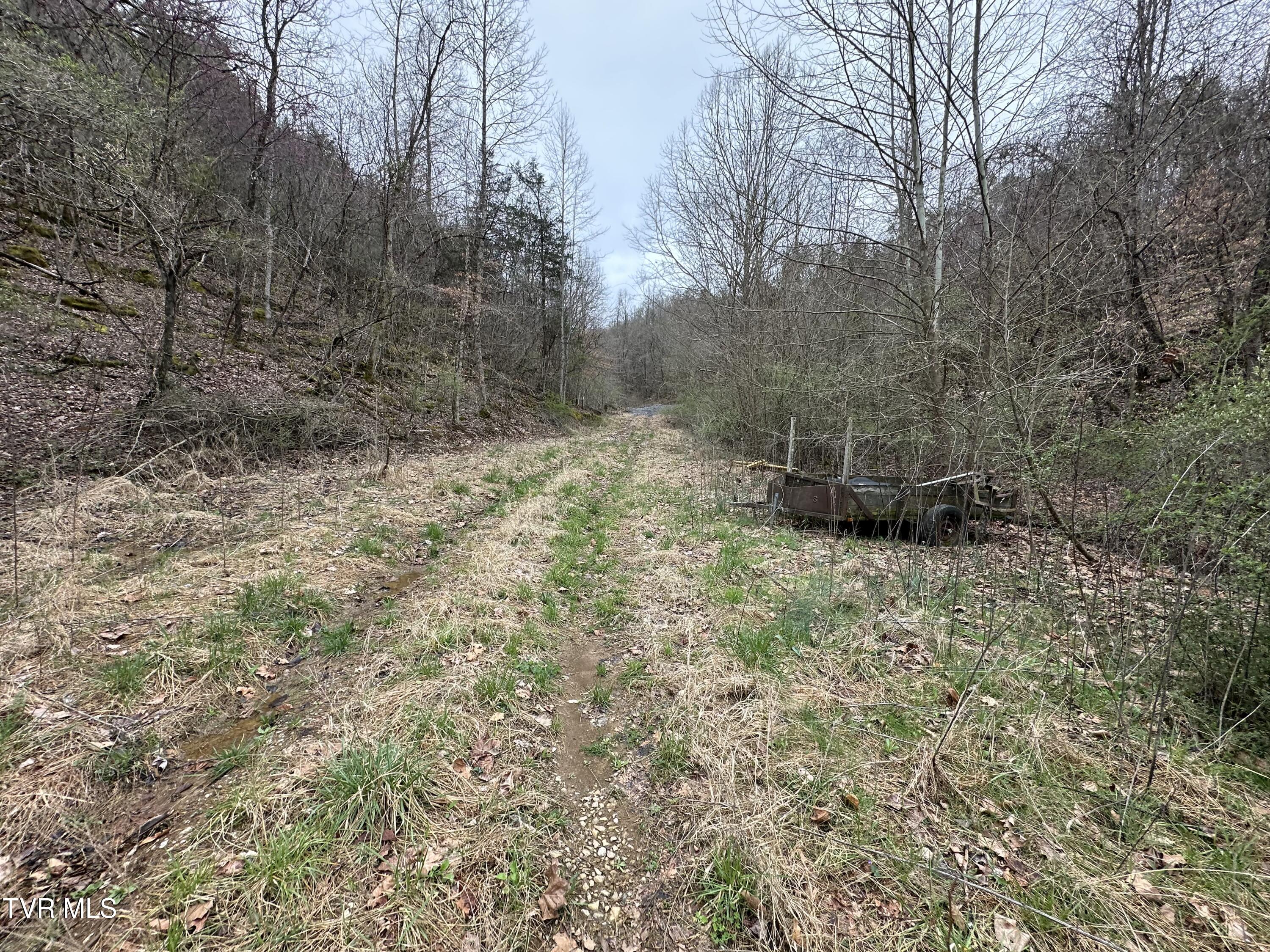 402 Havens Rest Dr Drive, Fort Blackmore, Virginia image 1