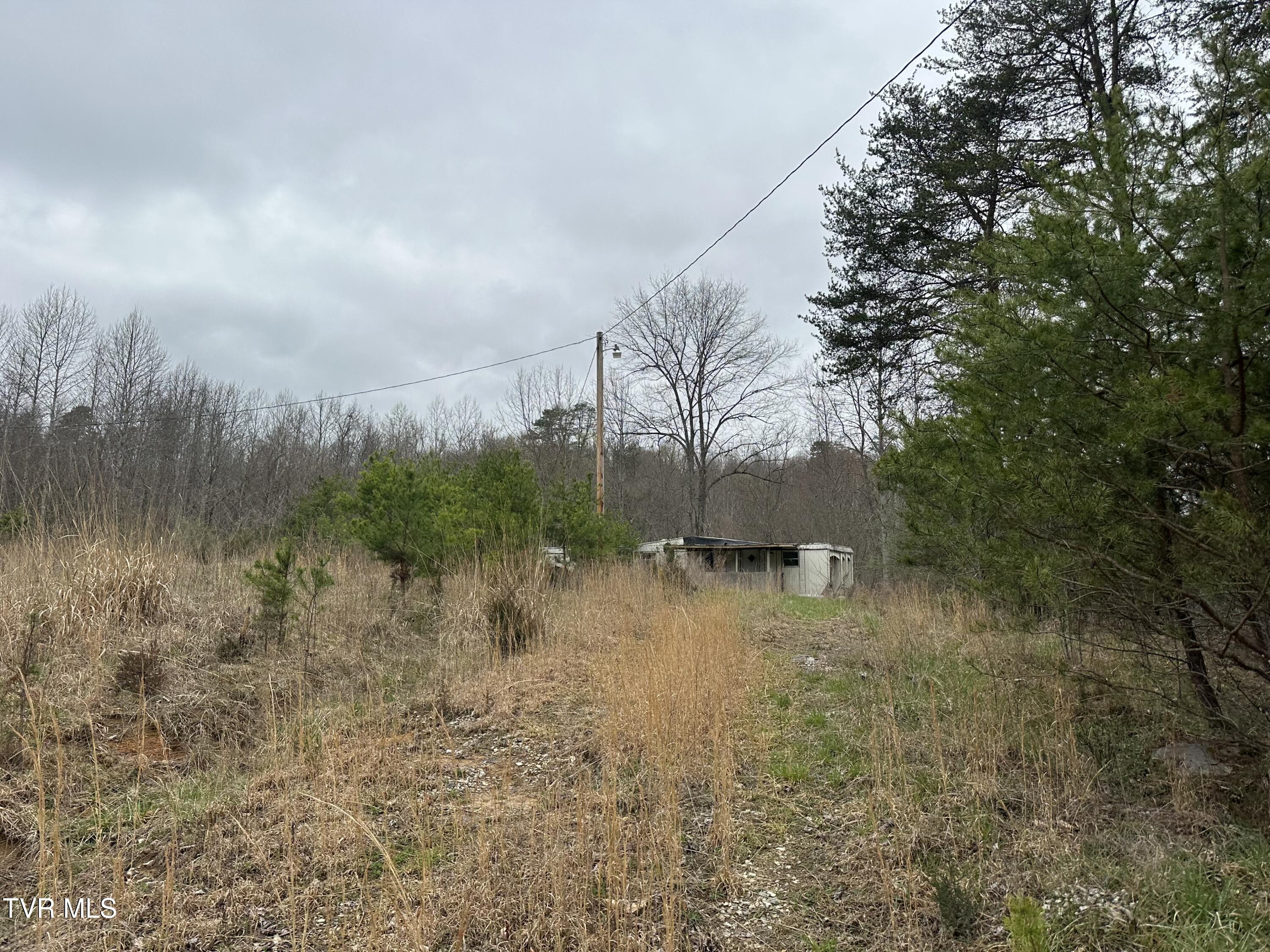 402 Havens Rest Dr Drive, Fort Blackmore, Virginia image 4