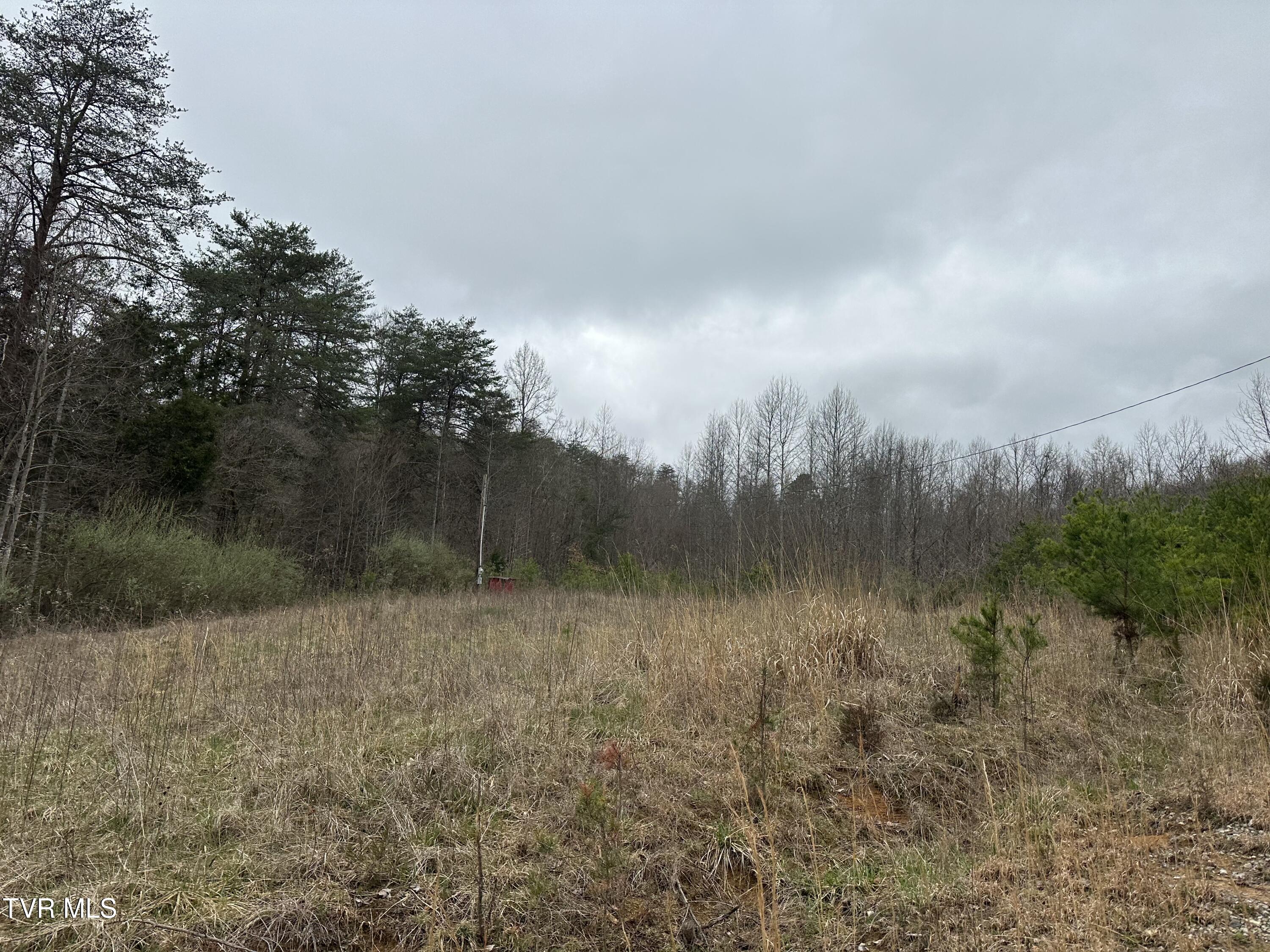 402 Havens Rest Dr Drive, Fort Blackmore, Virginia image 9