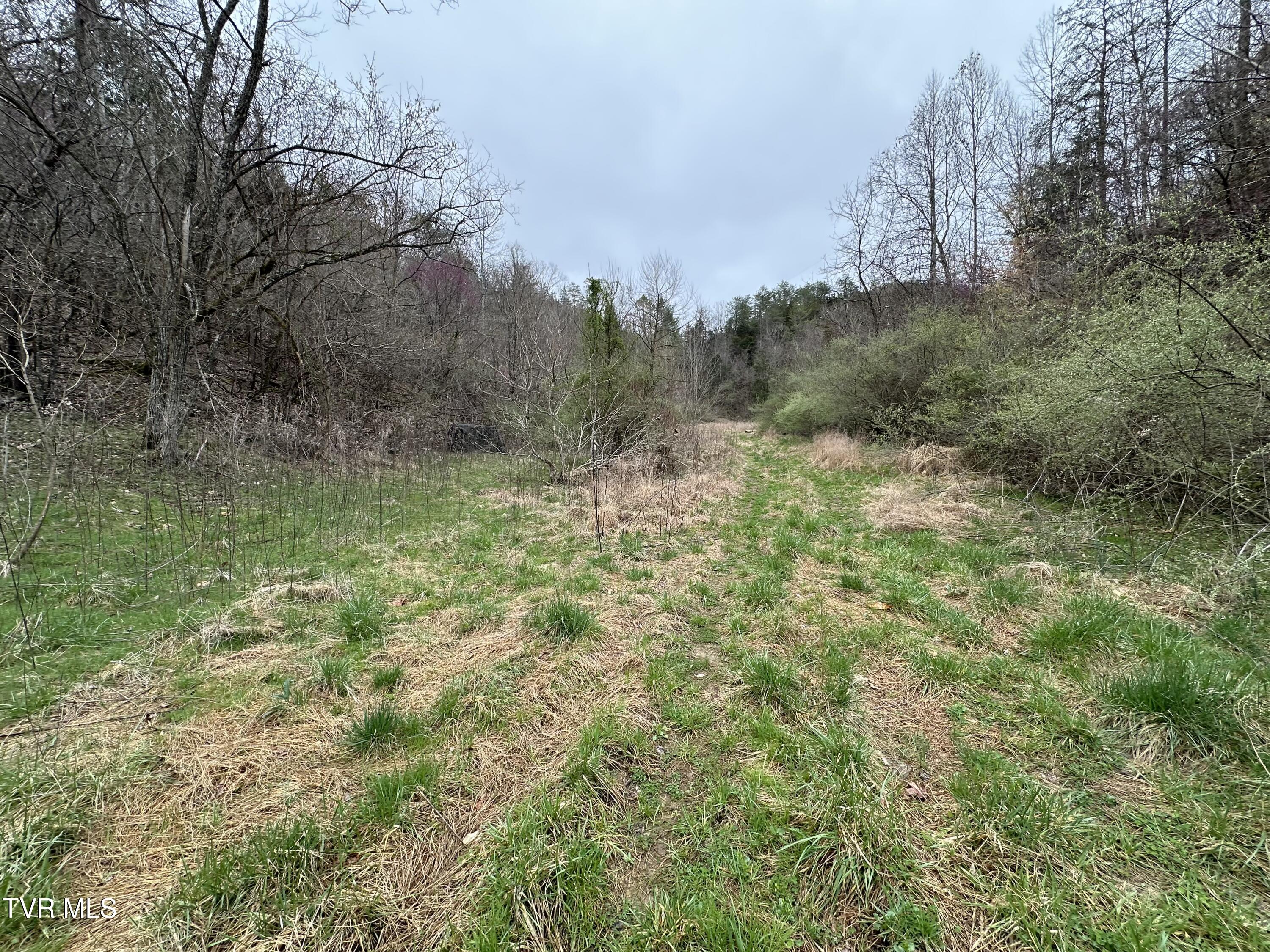 402 Havens Rest Dr Drive, Fort Blackmore, Virginia image 3