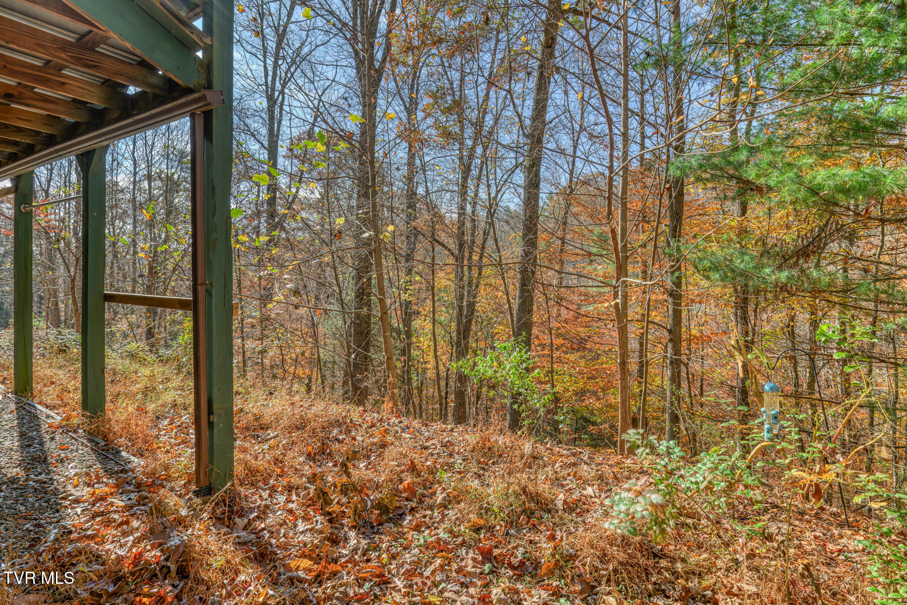 534 Parson Branch Rd Road, Green Mountain, North Carolina image 37