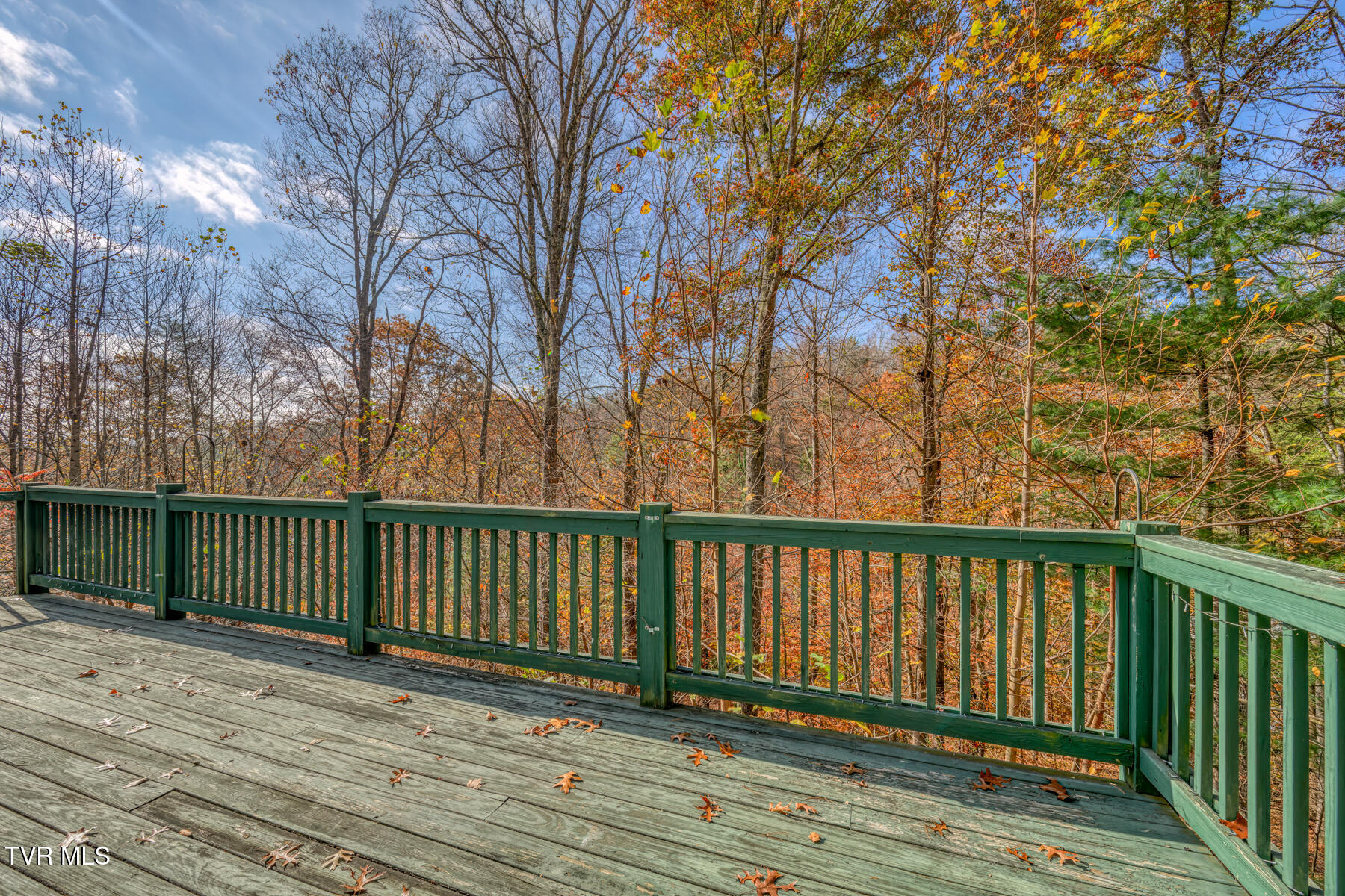 534 Parson Branch Rd Road, Green Mountain, North Carolina image 23