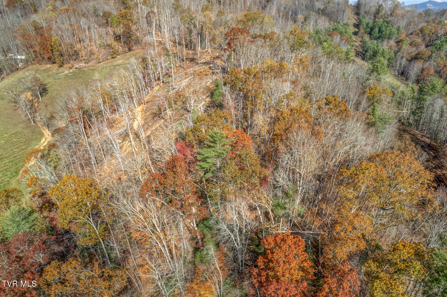 534 Parson Branch Rd Road, Green Mountain, North Carolina image 6