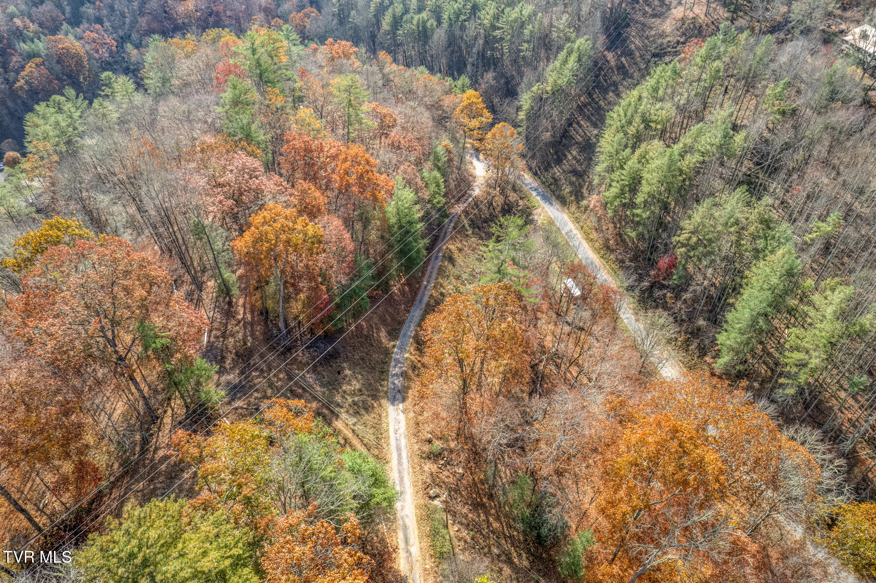 534 Parson Branch Rd Road, Green Mountain, North Carolina image 7