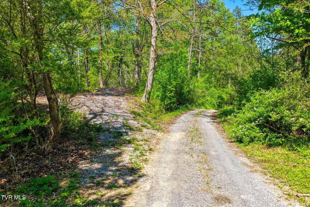 Photo of 4 Golf Course Road #Lot 4, Rogersville, TN 37857 (MLS # 9994480)