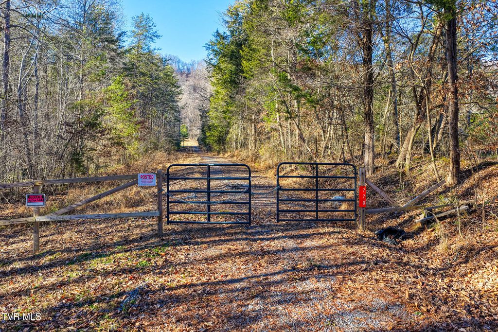 Photo of 770 Butcher Valley Road, Rogersville, TN 37857 (MLS # 9989605)
