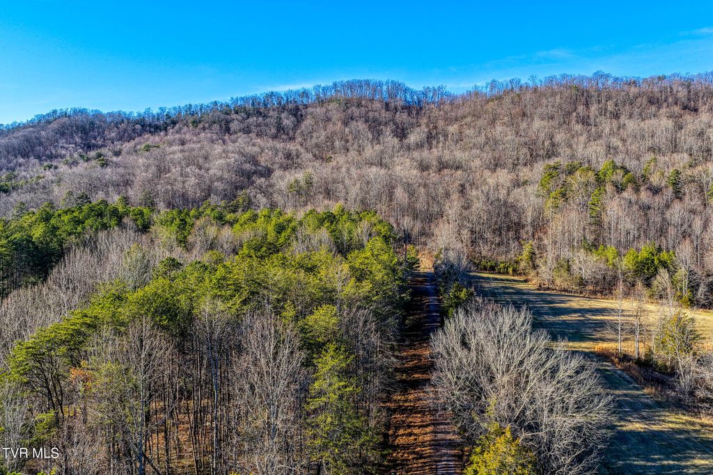 Photo of 770 Butcher Valley Road, Rogersville, TN 37857 (MLS # 9989605)