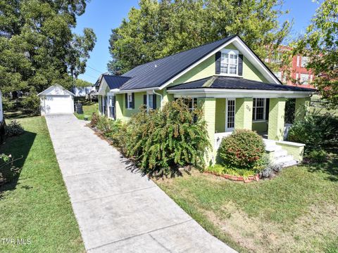 Photo of 706 Carson Street, Greeneville, TN 37743 (MLS # 9986963)