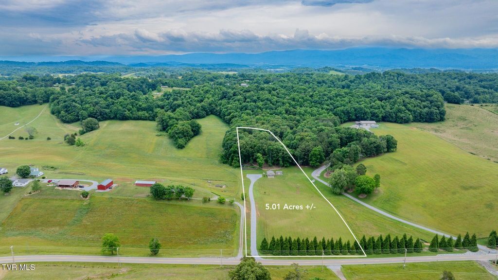 Photo of 4180 Kingsport Highway, Afton, TN 37616 (MLS # 9995821)
