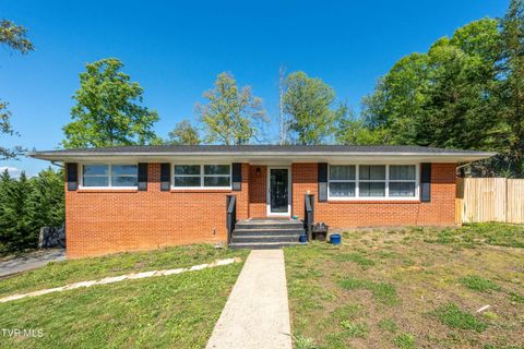 Photo of 1405 Brentwood Drive, Greeneville, TN 37743 (MLS # 9994067)